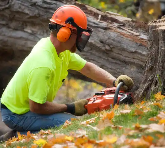 tree services Boyce